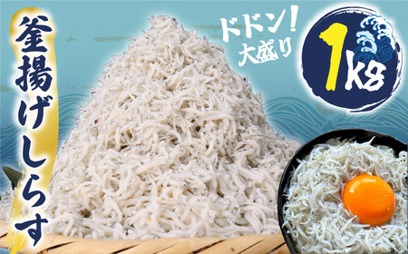釜揚げ しらす 約1kg 【 しらす 】