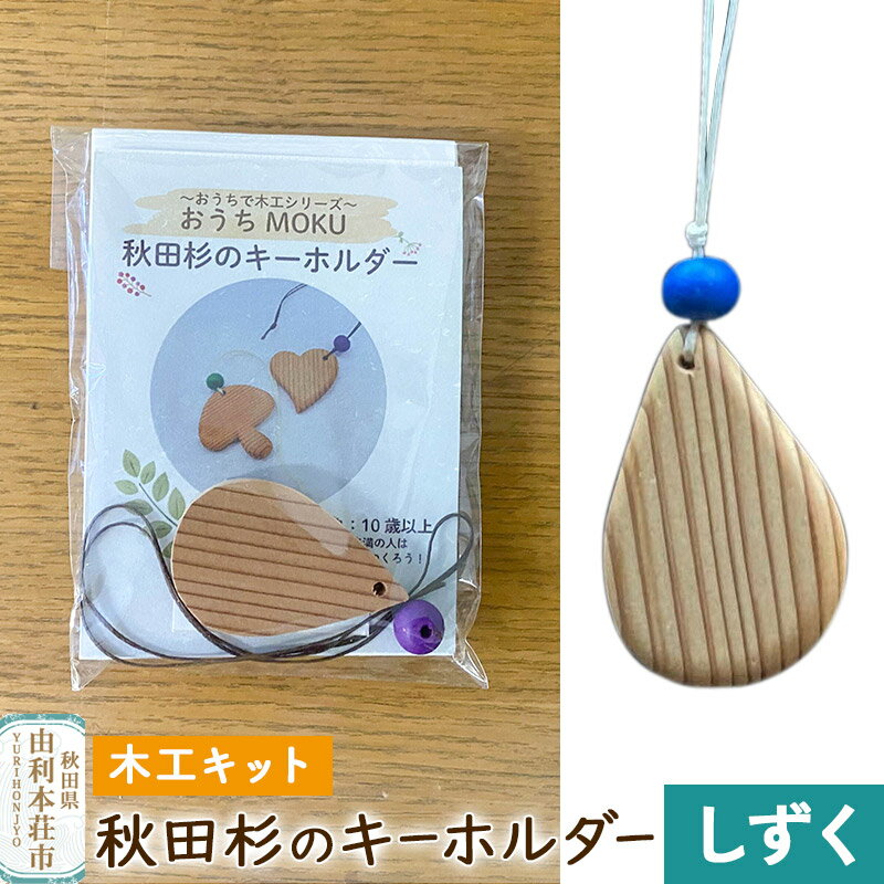 【ふるさと納税】秋田杉のキーホルダー（木工キット）しずく