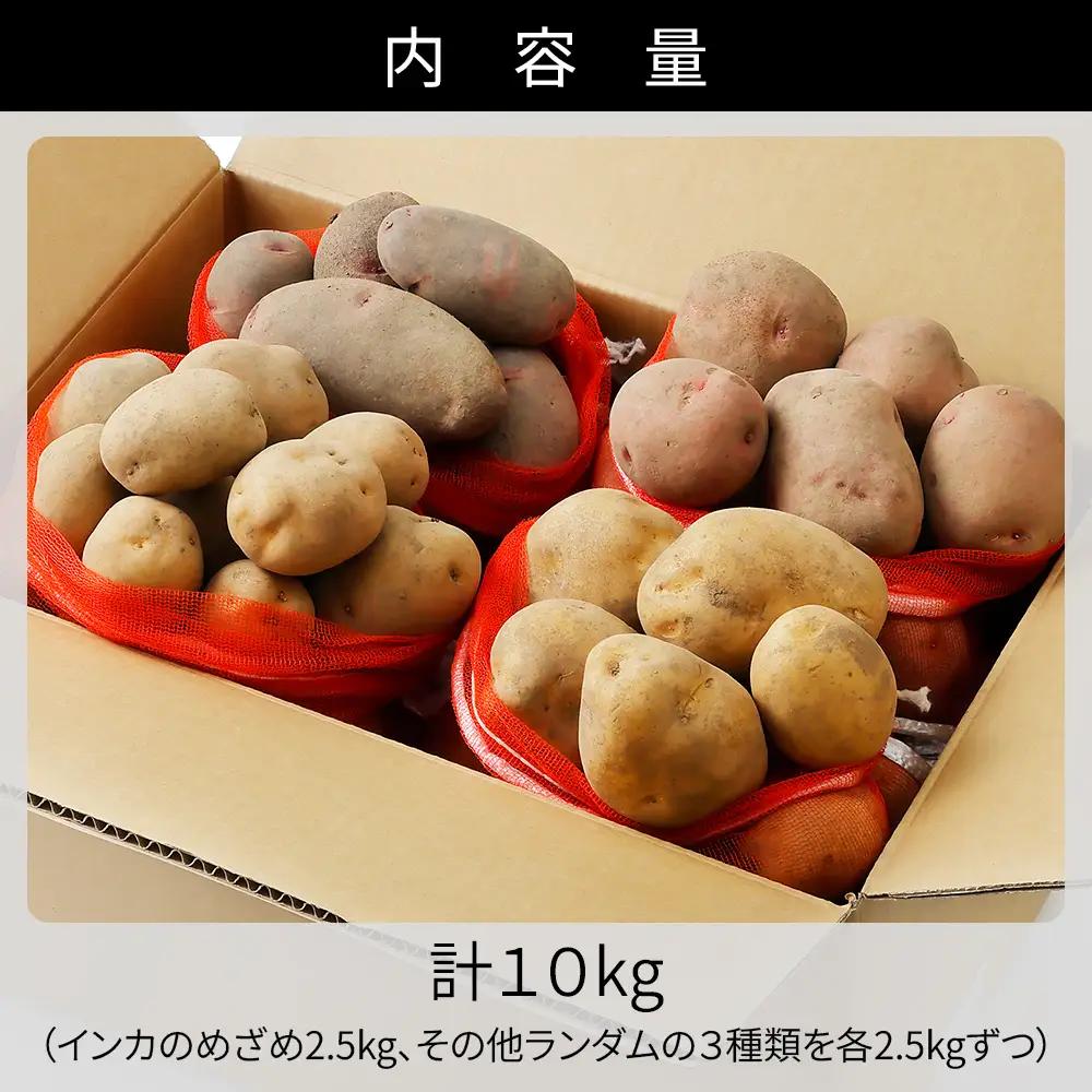 2026年産 先行予約 北海道産 インカのめざめ その他3種 じゃがいも 計10kg（2.5kg×4種） 上士幌町加藤農場 インカの目覚め 馬鈴薯 芋 イモ 野菜 詰め合わせ ◆2026年11月配送予