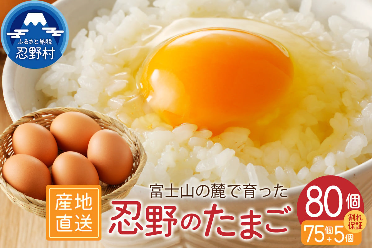 
富士山の麓で育った産地直送 ”忍野の卵”※卵75個+割れ保証5個　計80個
