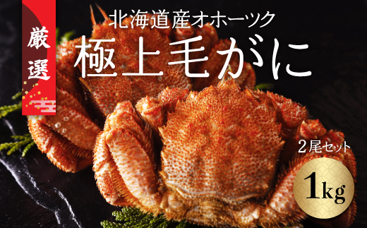 北海道産オホーツク極上毛がに（冷凍） 2尾セット（合計約1kg） ABC002