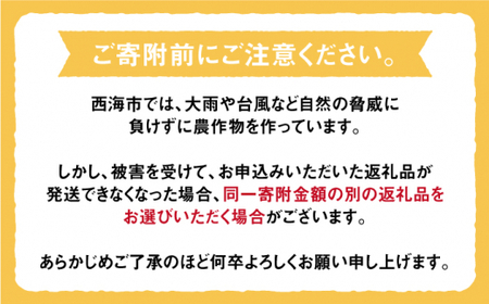みかん 西海 【☆先行予約☆】 石地 みかん 約5kg  みかんミカン 西海市 温州みかん 石地みかん 贈答 ギフト 家庭用 ＜中尾果樹園＞ [CEL002]
