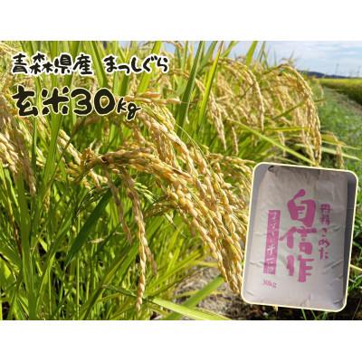 ふるさと納税 五戸町 【令和7年産】まっしぐら　玄米30kg