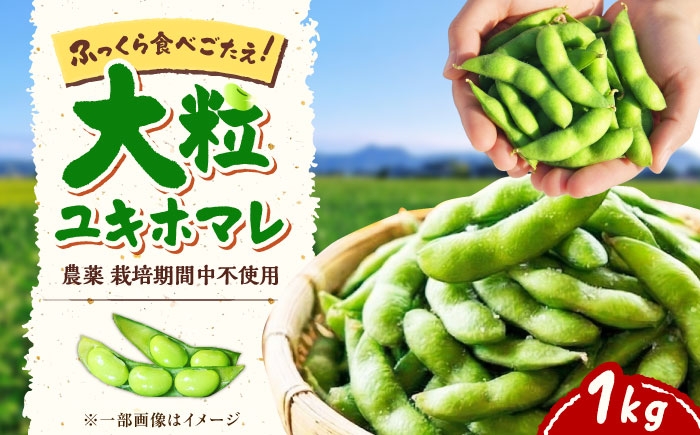 
                  【バランス農法】 枝豆 1kg (大粒ユキホマレ) | えだまめ 野菜 豆 生 枝豆 エダマメ edamame 北海道産 自然栽培 産地直送 冷蔵便 チルド 北海道 | あぐりこ園 [BOAA005]
                