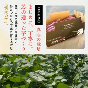 【予約受付中・2026年10月下旬頃より順次発送】鳴門市里浦産　慎太の芋 5kg　鳴門　ほくほく　ねっとり　天ぷら　焼き芋　スイーツ　さつまいも