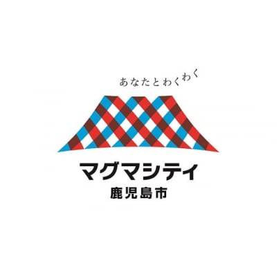 【あつまれ鹿児島ファンディング!鹿児島市ふるさと寄付金事業】(お礼品なし)　TK-30000