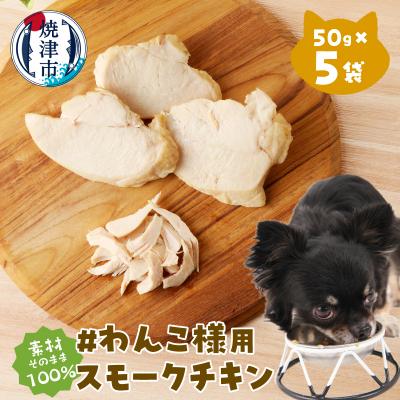 ふるさと納税 焼津市 わんこ様用5点セット(a11-220)