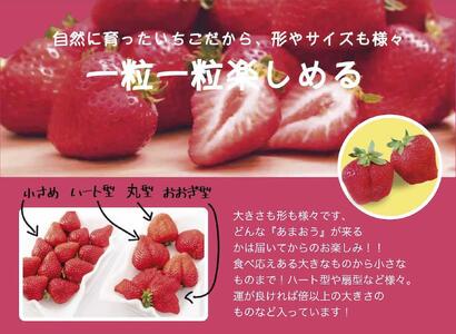 いちごの王様　福岡名産あまおう 約２７０ｇ×４パック　計約1,080g　＜２０２５年２月以降発送＞
