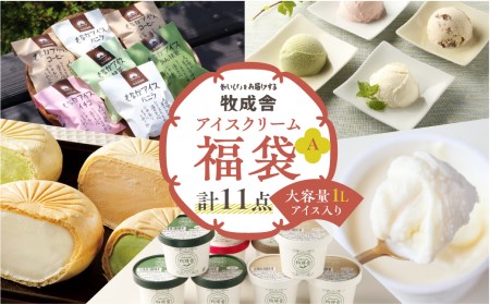 飛騨のミルクの旨味アイス福袋セット[Q123] 最中アイス カップアイス バニラアイス 苺アイス 抹茶アイス コーヒーアイス アイスセット