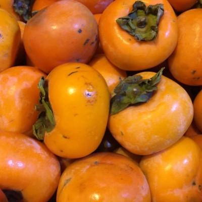 ふるさと納税 かつらぎ町 【秋の味覚】和歌山産たねなし柿ご家庭用約7.5kg(サイズおまかせまたは混合)(かつらぎ町) |  | 01