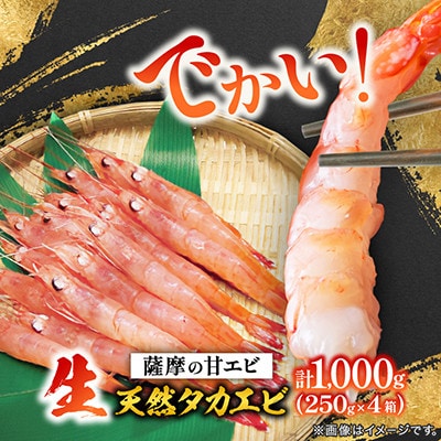 【薩摩の甘エビ】大きいサイズ 天然タカエビ 1kg BA557【配送不可地域：離島】
