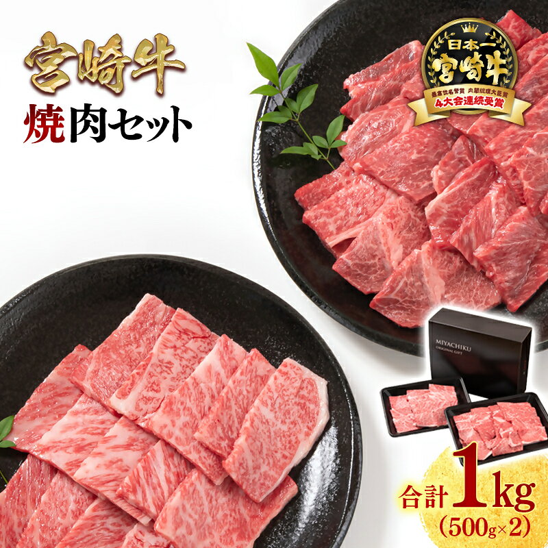【ふるさと納税】「宮崎牛」焼肉セット 合計1kg 宮崎県 西都市 赤身と肩ロース 牛 肉 牛肉 国産 宮崎牛 焼肉 黒毛和牛 ミヤチク ＜47-10b＞
