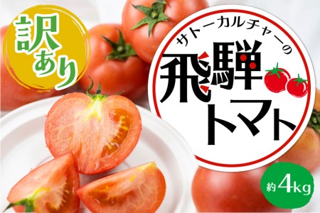 【訳あり】飛騨トマト 約4kg 6月下旬～11月にかけて収穫次第順次発送 とまと トマト 麗月 訳あり 不揃い 傷 キズ 玉数・大きさおまかせ 15～28玉 サトーカルチャー [Q1387_24] 