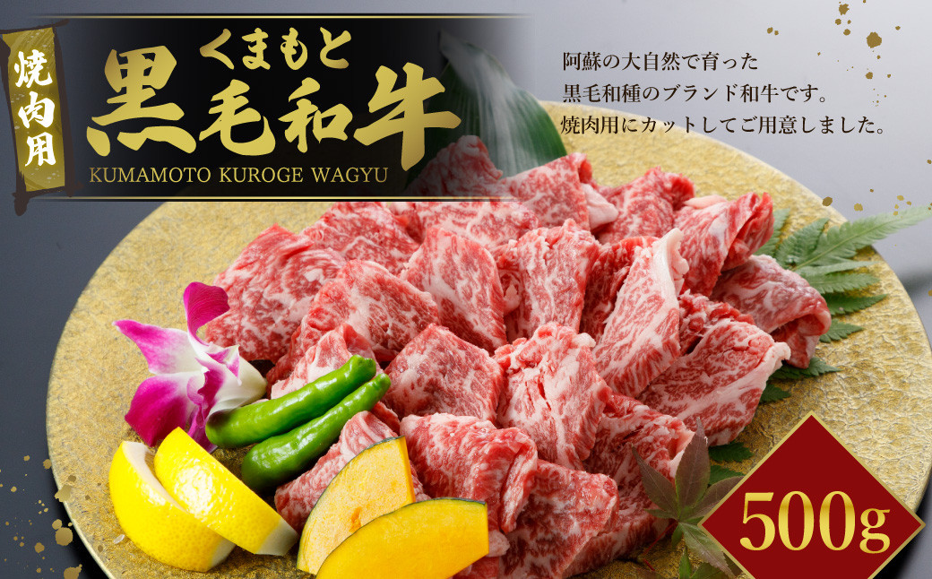 くまもと黒毛和牛 焼肉用 500g