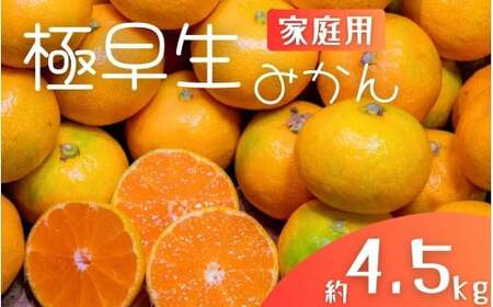 極早生みかん 約4.5kg みかん 産直 サイズ混合 みかん 早生みかん 果物 くだもの フルーツ 温州みかん 和歌山 柑橘 オレンジ【2025年10月上旬～下旬頃に順次発送】【mrmt002】