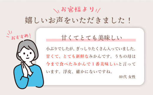 【12月上旬より配送開始☆特秀品】石地みかん 約8kg（傷み保証分300g含む）＜川添みかん園＞ [CCT008] みかん