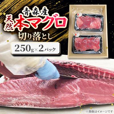 ふるさと納税 青森県 青森産　天然本マグロ　切り落とし