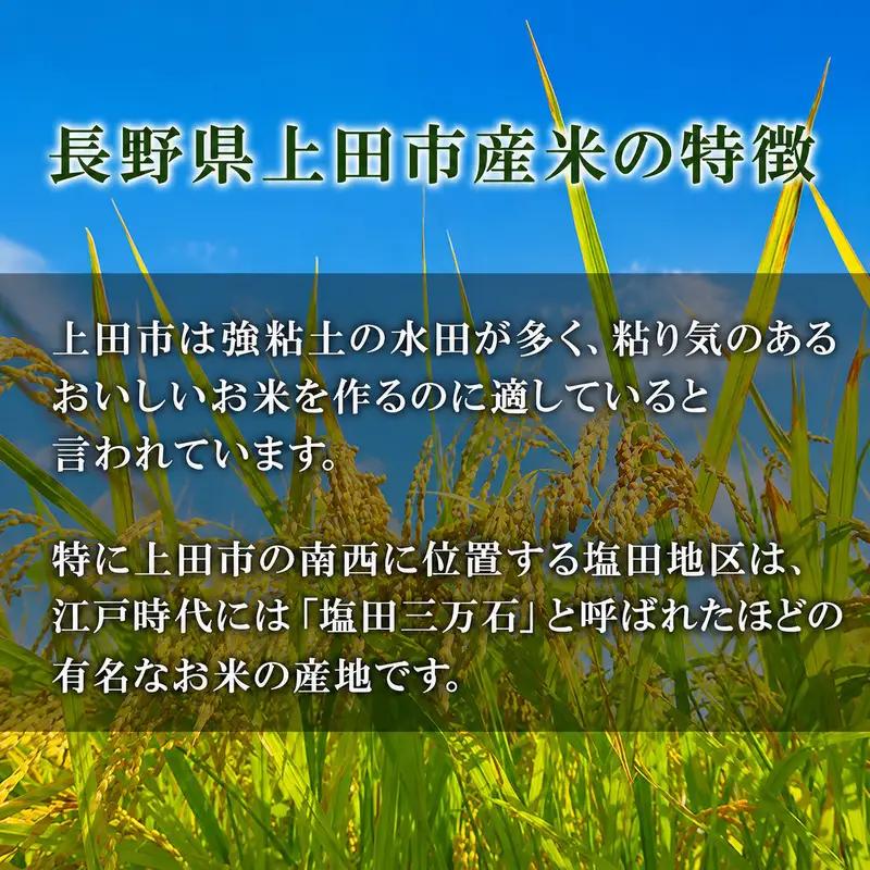 米 令和7年産 長野 風さやか 5kg お米 こめ コメ おこめ 白米 精米 5キロ オリジナル オリジナル米 ブランド米 かぜさやか 信州 長野県 上田市 上田