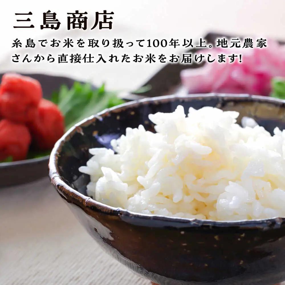  糸島産 ひのひかり 10kg 糸島市 / 三島商店 [AIM004] 米 白米