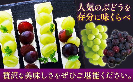 シャインマスカット【晴王】 & ニューピオーネ 600g以上(各1房) 【先行予約】 株式会社Myself《2025年9月上旬-11月上旬頃出荷》マスカット 送料無料 岡山県 浅口市 ぶどう フルーツ