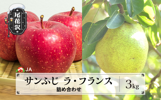 先行予約 サンふじ＆ラ・フランス詰め合わせ 計約3kg 11月上旬～12月上旬頃発送 令和8年産 2026年産 りんご サンふじ サンフジ洋梨 梨 ラ・フランス ラフランス 詰め合わせ セット アソート 果物 フルーツ 山形県産 送料無料 ja-fsflx3-b