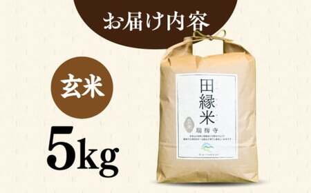 【先行受付中】 田縁米(でんえんまい)・瑞梅寺(ずいばいじ) 玄米 5kg 【2026年12月上旬順次発送】 糸島市 / NPO法人田縁プロジェクト 玄米 お米 [ATM005]