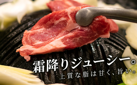 生ラム （冷凍）タレ付 600g＜肉の山本＞