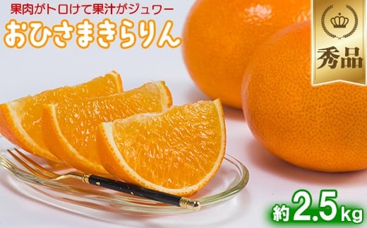 
            今村農園のおひさまきらりん 約2.5kg【秀品】  甘い オレンジ みかん ミカン 清美 2.5kg 12月発送 1月発送 先行予約 贈答 柑橘類 フルーツ ＜107-024_6＞
          