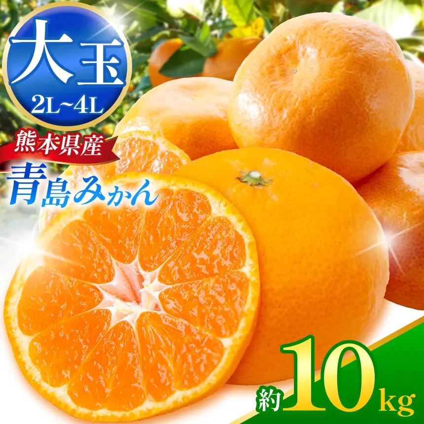 青島みかん (2L～4L) 約10kg｜iFARM 岩城農園