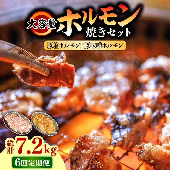 【ふるさと納税】【6回 定期便 】 ホルモン 塩焼き・ニンニク味噌焼き大容量セット 総計7.2kg / ほるもん 肉 豚肉 直腸 豚テッポウ 希少部位 国産 / 南島原市 / はなぶさ [SCN142]