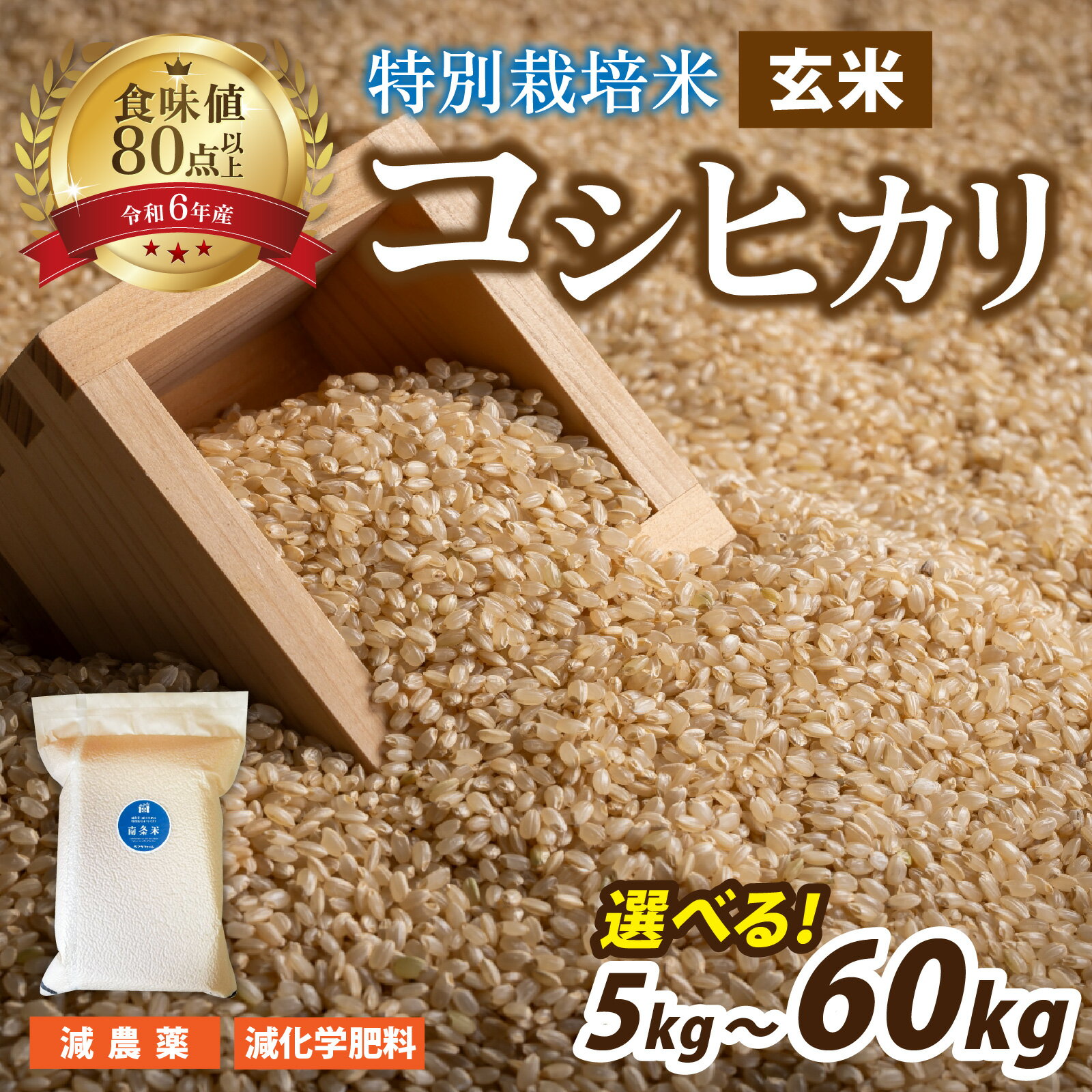 【ふるさと納税】【 令和7年産 新米 】南条米 特別栽培米コシヒカリ 真空パック 玄米 5kg／10kg　選べる配送回数【単発便、定期便（3ヶ月・6ヶ月）】【10月上旬より順次発送】/ 国産 玄米 ご飯 ごはん こめ 備蓄 弁当 キャンプ 真空米 南越前町 送料無料