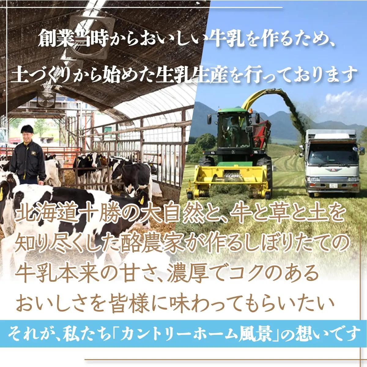 ヨーグルト　牧場直送ギフト【 カウシカ 】 【  北海道 カントリーホーム風景 送料無料 】 SKB022