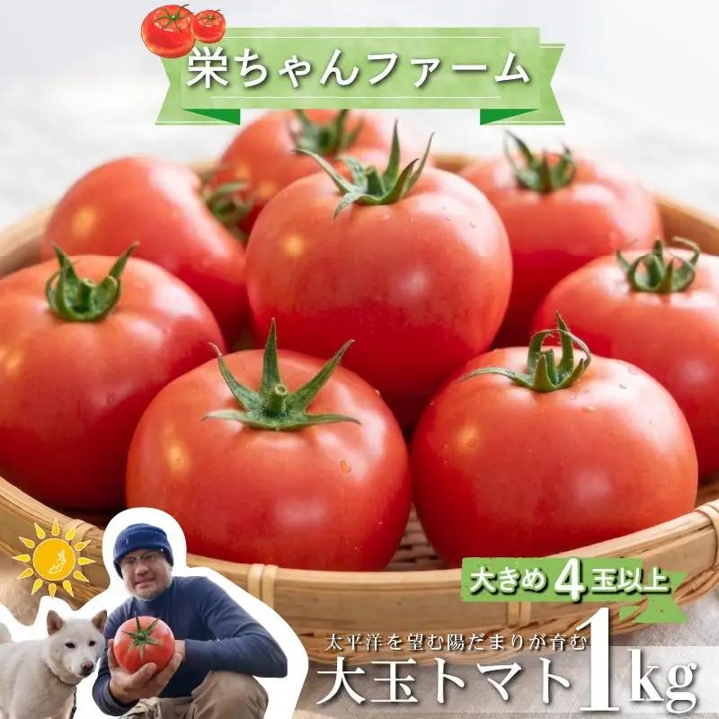 【2027年2月発送】大玉トマト 1kg 大 4玉 以上トマト