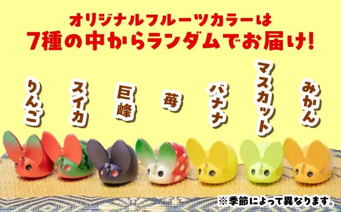 釣り具 うさくらS スターターセット2 釣り具 BLBV004