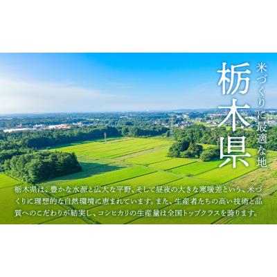 ふるさと納税 野木町 令和7年産 米 お米 コシヒカリ うまかん米 5kg 《30日以内に出荷予定(土日祝除く)》 |  | 01