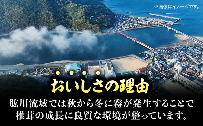 【数量限定】ぎゅっと濃縮された自然のうまみ！原木乾しいたけ（香?磨j 150g　愛媛県大洲市/大洲市森林組合 [AGBK001]椎茸 きのこ 椎茸栽培 しいたけ栽培 シイタケ 収穫 鍋 bbq 干しし