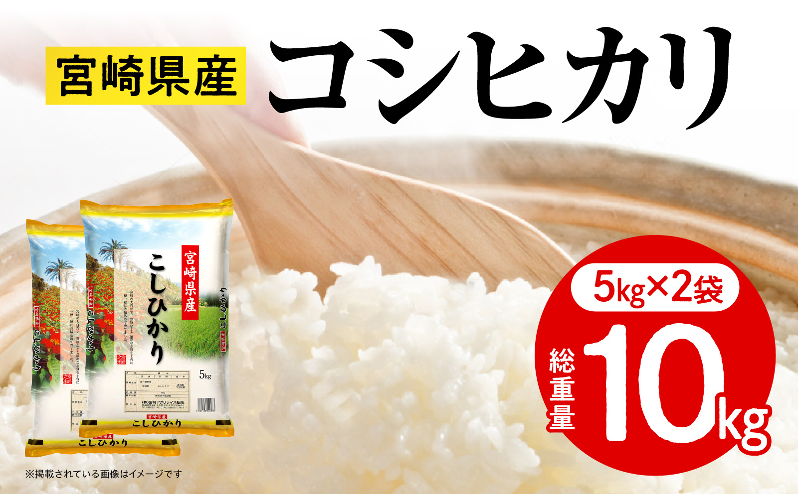 《令和7年産》宮崎県産コシヒカリ 合計10kg(5kg×2袋) お米 精米 新米