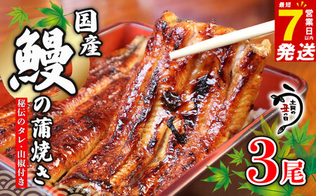 鰻蒲焼 3尾 うなぎ 【 鰻 】