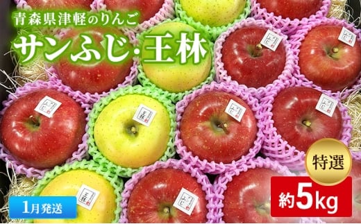 【1月発送】【里いちみfarm】青森県津軽のりんご　特選「サンふじ・王林」約5kg