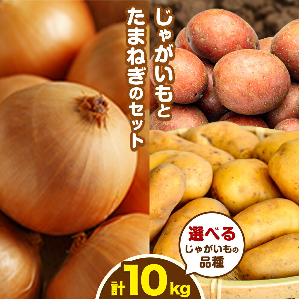 【ふるさと納税】じゃがいもとたまねぎのセット 合計約10kg 選べる じゃがいもの品種 （メークイン キタアカリ レッドムーン インカのめざめ インカのひとみ ゆめいころ インカルージュ ） 野菜 《10月中旬から出荷予定》橋枝物産 北海道 浦幌町