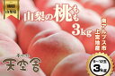 【ふるさと納税】【先行予約】南アルプス天空舎のもも3kg9～12玉＜2025年7月上旬出荷開始～2025年8月上旬出荷終了＞【 フルーツ モモ くだもの おすそ分け お取り寄せ ご自宅用 ご家庭用 人気 あまい ギフト プレゼント 贈り物 山梨県 南アルプス市 】