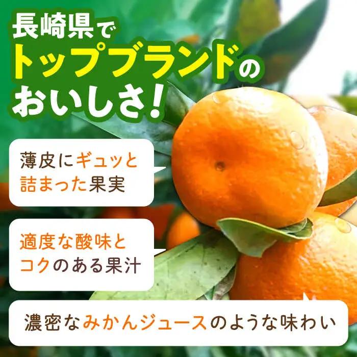 みかん10kg AHBD001 伊木力みかん