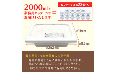 【3ヶ月定期便】【Himi Gelato】訳ありジェラート２Lピスタチオ　ジェラート