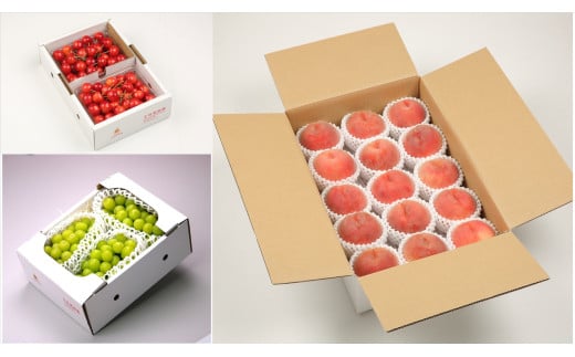 08-03-112　王将果樹園ランキングベスト3フルーツ便