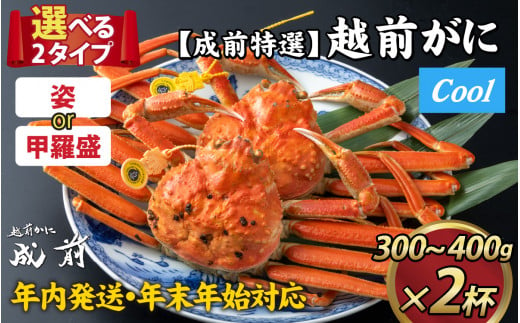 【先行予約】選べる！美味しさ直送【成前特選】越前かに（300～400g）×2杯【年内発送・年末年始対応】姿【E-028032_06】