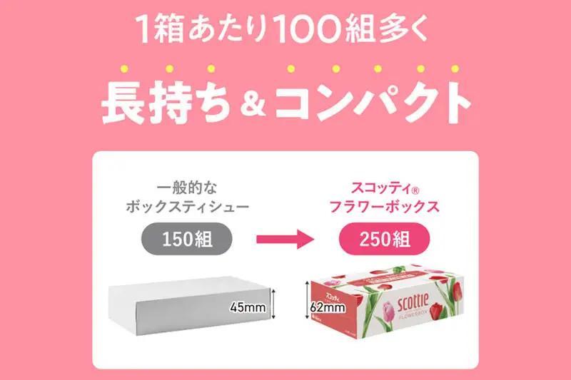 《6ヶ月ごとに2回お届け》定期便 ティッシュペーパー スコッティ フラワーボックス250組 20箱(5箱×4パック) ティッシュ 秋田市オリジナル 新生活