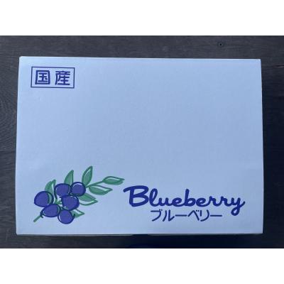 ふるさと納税 宗像市 数量限定大粒ブルーベリー(500g) 栽培期間中農薬不使用【えのさんのブルーベリー園】_HA1356 |  | 02