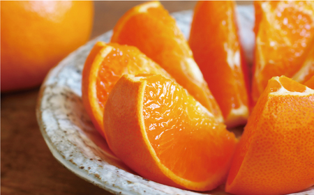 せとか 3kg みかん サイズミックス 18000円 高級 人気 ブランド プレミアム 柑橘 果物 フルーツ 数量限定 期間限定 産地直送 国産 農家直送 特産品 お取り寄せ ギフト プレゼント mi