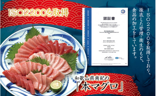 本マグロ（養殖） トロ＆赤身セット 500g 【１ヶ月以内に順次発送】☆北山村人気No1☆ | まぐろ マグロ 本マグロ 鮪 中トロ 赤身 柵 刺身 お刺身 人気 海鮮 海産物 鮮魚 魚 じゃばらまぐ