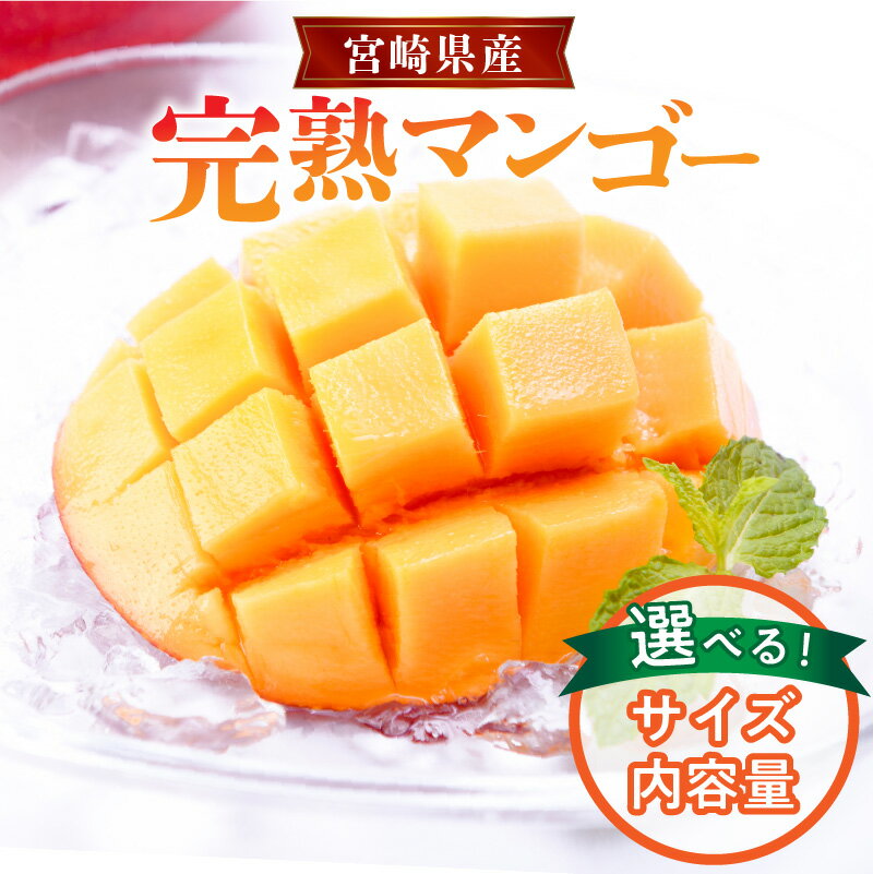 【ふるさと納税】【選べるサイズ・内容量】《2025年発送》【期間・数量限定】宮崎県産 完熟マンゴ－ | 宮崎マンゴー 完熟マンゴー マンゴー フルーツ 果物 スイーツ デザート ギフト プレゼント 贈答 贈答用 贈り物 ギフト ご褒美 南国フルーツ 南国 宮崎市 送料無料